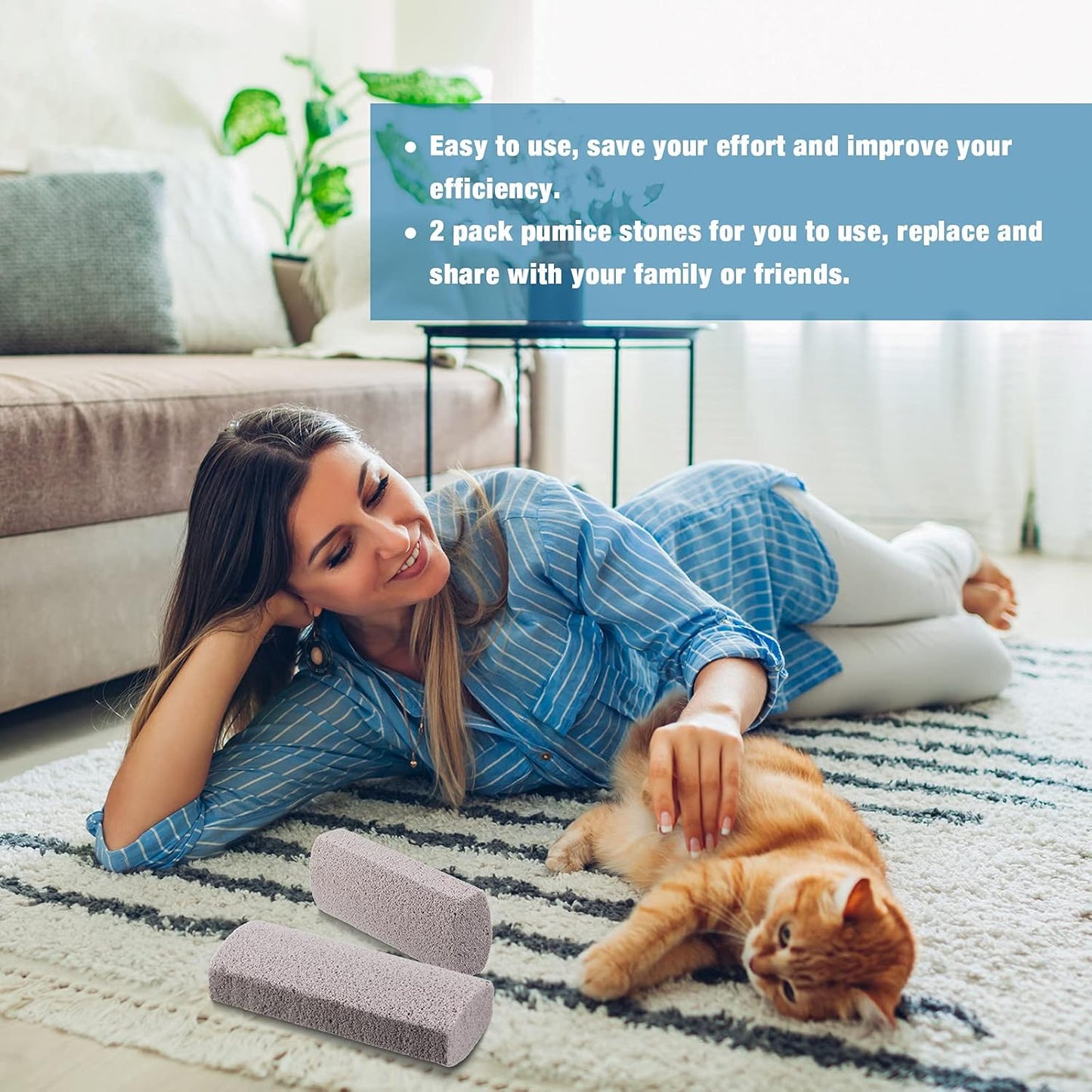 2 Pieces Pet Hair Remover for Cat Hair Removal Pumice Stone Tool Carpet Dog Fur Removal Tool for Car Couch Furniture Bedding Easy to Clean (5.3 Inches)