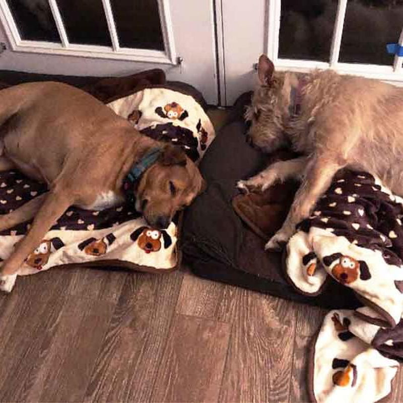 Snuggle Puppy Blanket for Pets - Cozy Dog Blanket for Small Dogs - Machine Washable Dog Blanket in Neutral