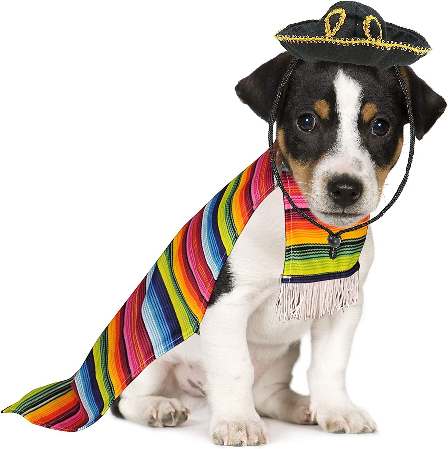 Mexican Serape Dog Costume - Cinco De Mayo Poncho and Sombrero Costumes for Pets (Size L) - Small Breeds Multicolored