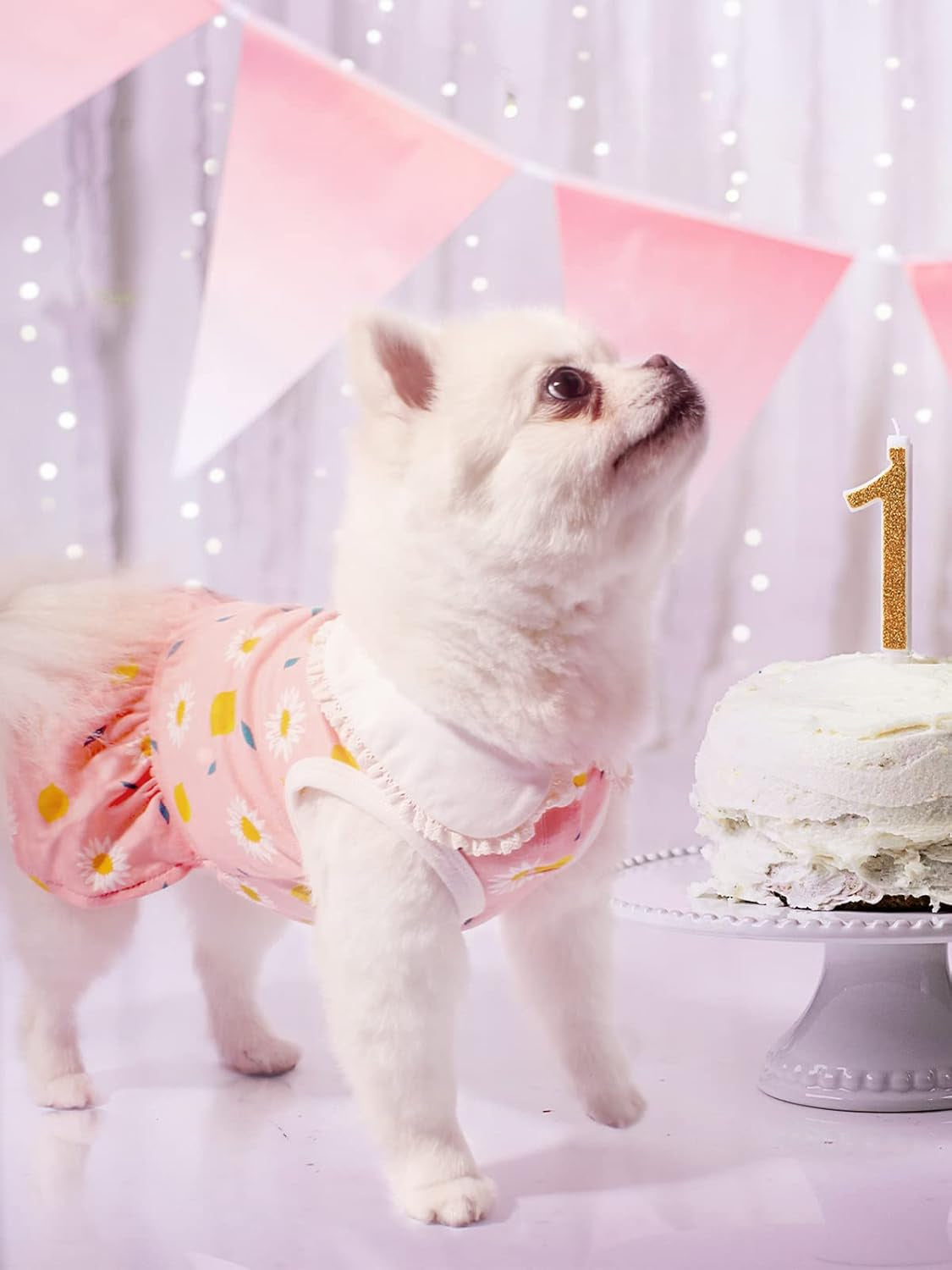 Dog Dress, Dog Birthday Dress, Dogs Summer Skirt, Dogs Flower Skirt with Lace Collar, Cute Puppy Clothes for Small Medium Doggie Cat Girl (Pink, XS)
