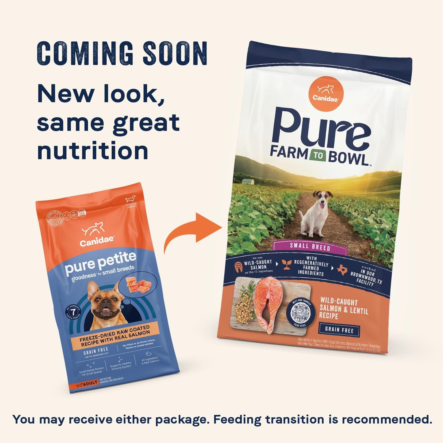 Pure Petite Premium Freeze-Dried Raw Coated Dog Food for Small Breeds, Real Salmon Recipe, 4 Lbs, Grain Free