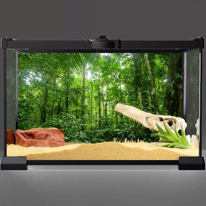48X18 Inches Terrarium Background Tropical Aquarium Background Green Huge Tree Rainforest Reptile Habitat Background Durable Polyester Background