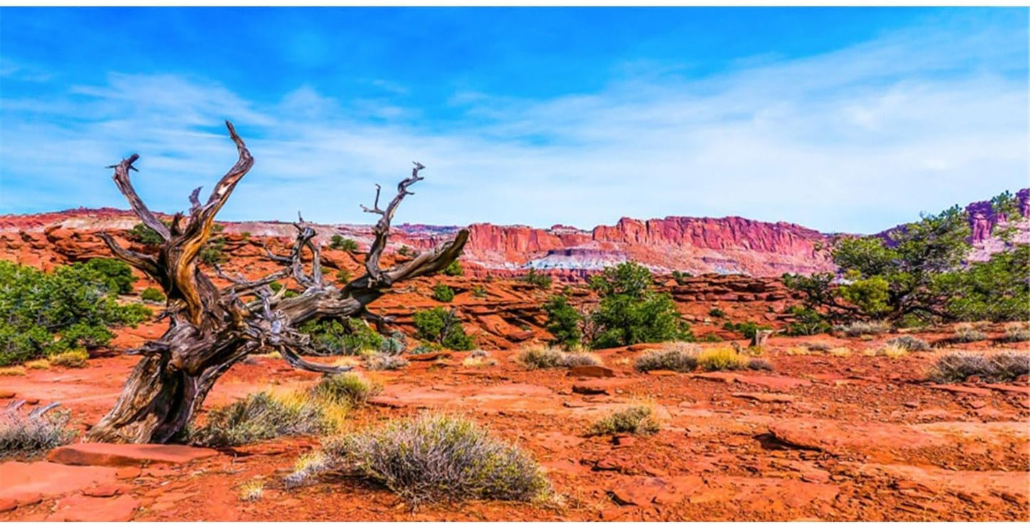 48X24 Inches Reptile Habitat Background Blue Sky Oasis Orange Desert Terrarium Background Polyester Background