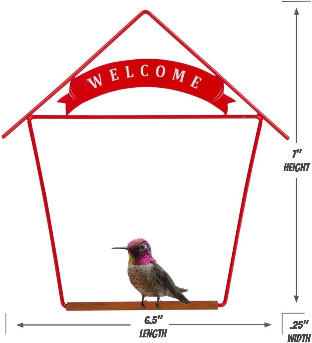 Welcome Home Hummingbird Swing for Outdoors - Perfect Bird Perch for Small Birds - Sturdy Steel Metal Swing Set with Hook Included