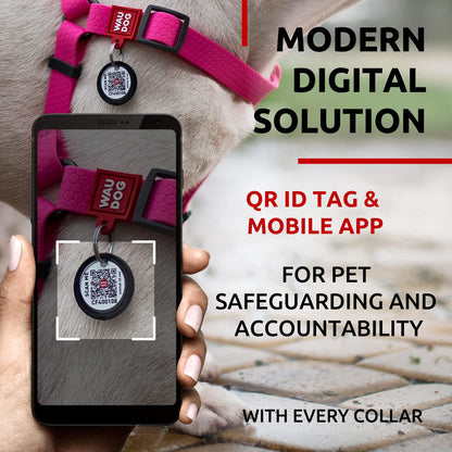 Waterproof Dog Harness Adjustable Dog Harness for Large Dogs Small and Medium Dogs Heavy Duty Dog Harness with Durable Metal Clasp and QR Dog Tag Boy & Girl Dog Harness Pink (20 32In)