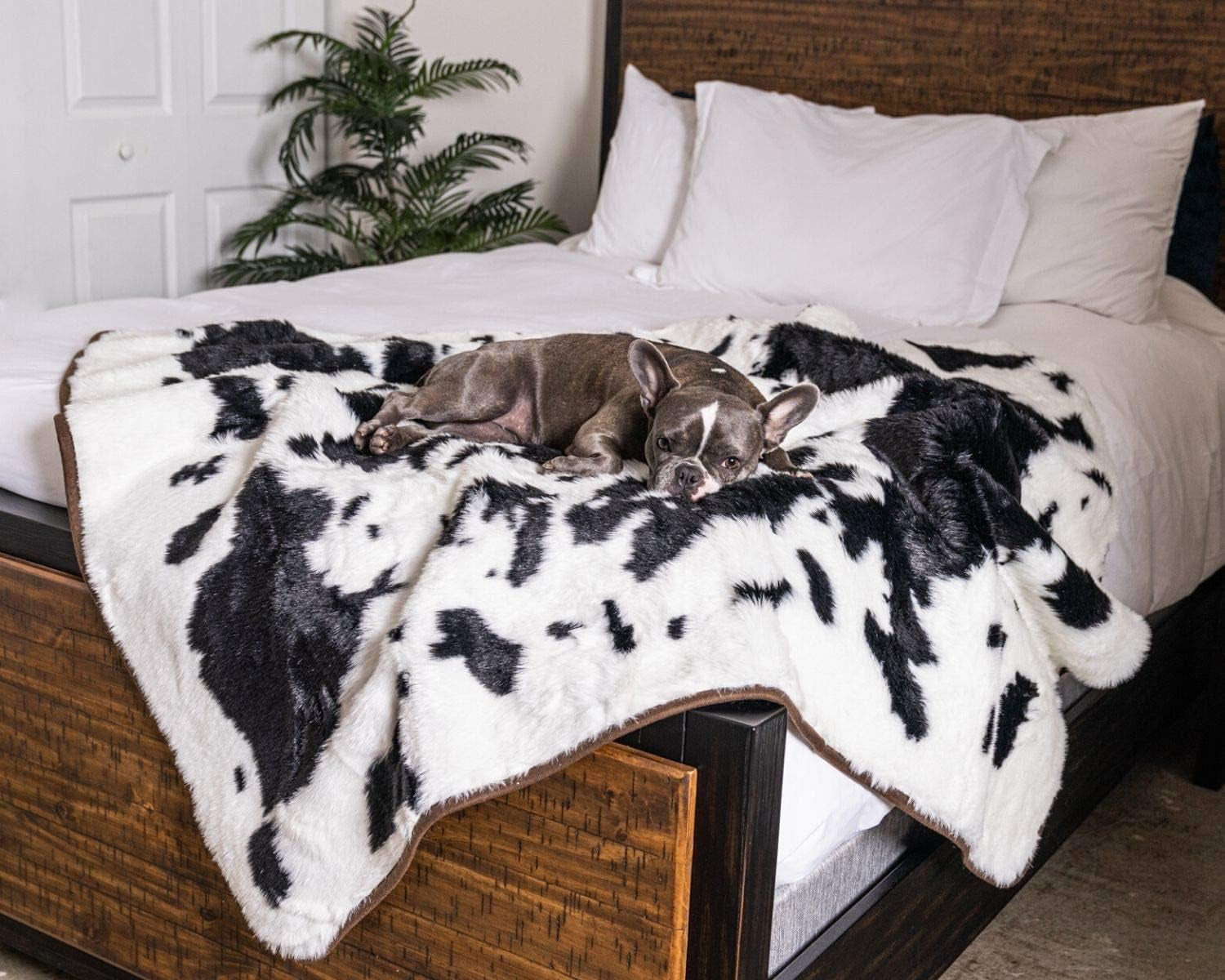 Pupprotector Waterproof Throw Blanket for Dogs and Cats, Pet Blanket Cover for Couches, Sofas, Beds, Car Seats, Furniture, Calming Soft Faux Fur, Black and White Cowhide, Original (60" L X 50" W)