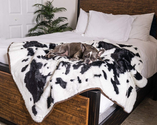 Pupprotector Waterproof Throw Blanket for Dogs and Cats, Pet Blanket Cover for Couches, Sofas, Beds, Car Seats, Furniture, Calming Soft Faux Fur, Black and White Cowhide, Original (60" L X 50" W)