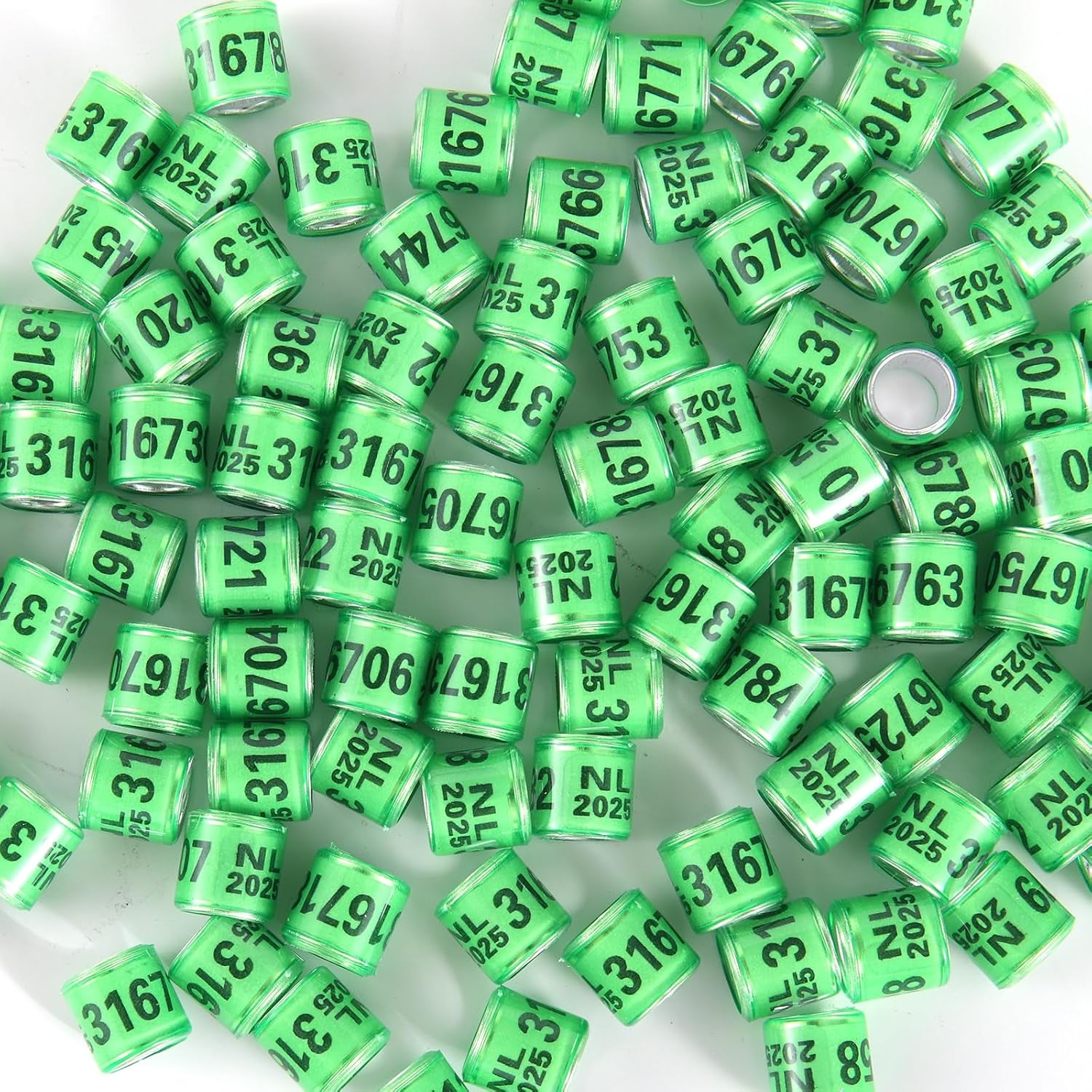 100Pcs Multicolor Aluminium Pigeon Leg Rings Dove Leg Rings Identify Bands Plastic with 2025 NL Training Identify Birds Foot Ring (Green)