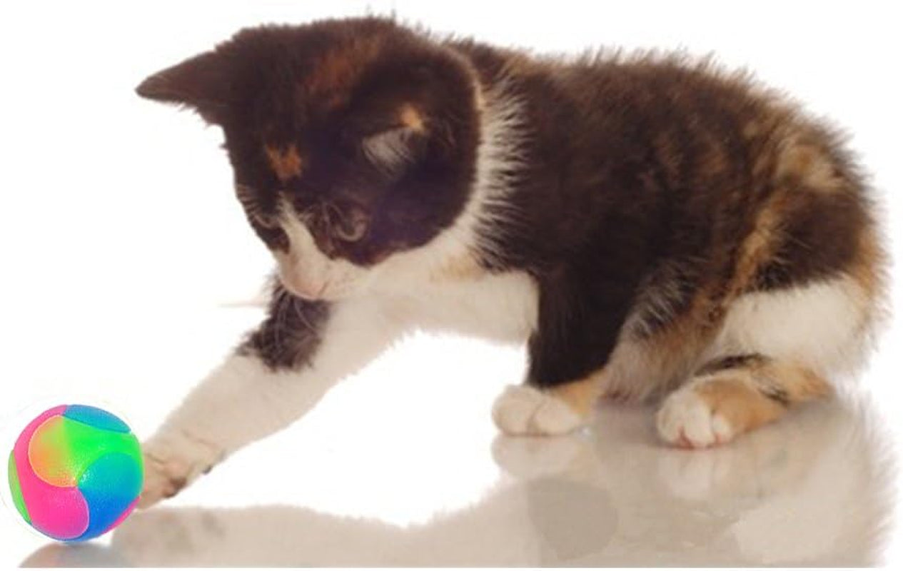 2Pcs Light up Dog Balls,Led Dog Ball,Glow in the Dark Dog Ball,Flashing Elastic Pet Toys for Puppy, Cats, Dogs