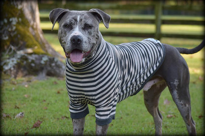 Large Dog Pullover – Breathable Cotton & Spandex with Full Underbelly Coverage – White & Gray Striped Shirt for Allergy & Summer Protection (XXL)