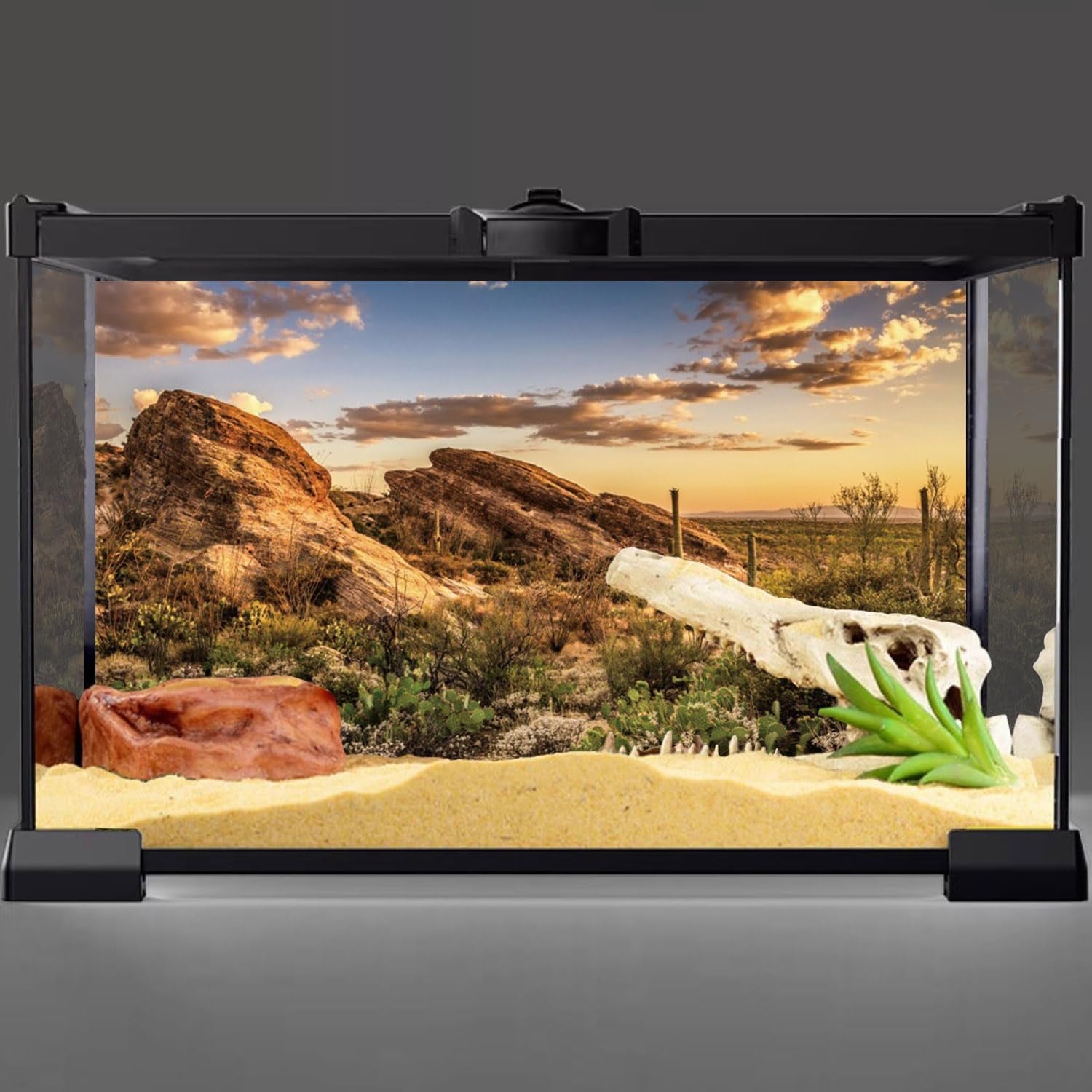Terrarium Background 36X18 Inches Reptile Habitat Background Blue Sky Oasis Cactus Sun and Desert Terrarium Background Polyester Terrarium Background