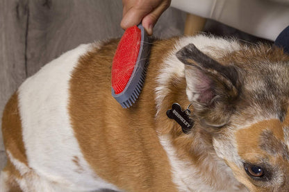 Duo Pet Hair Rubber Brush, Dual Sided to Easily Remove Fur and Lint from Clothing and Upholstery, Thick Bristles Groom Dogs and Cats, Easy to Clean, Colors May Vary