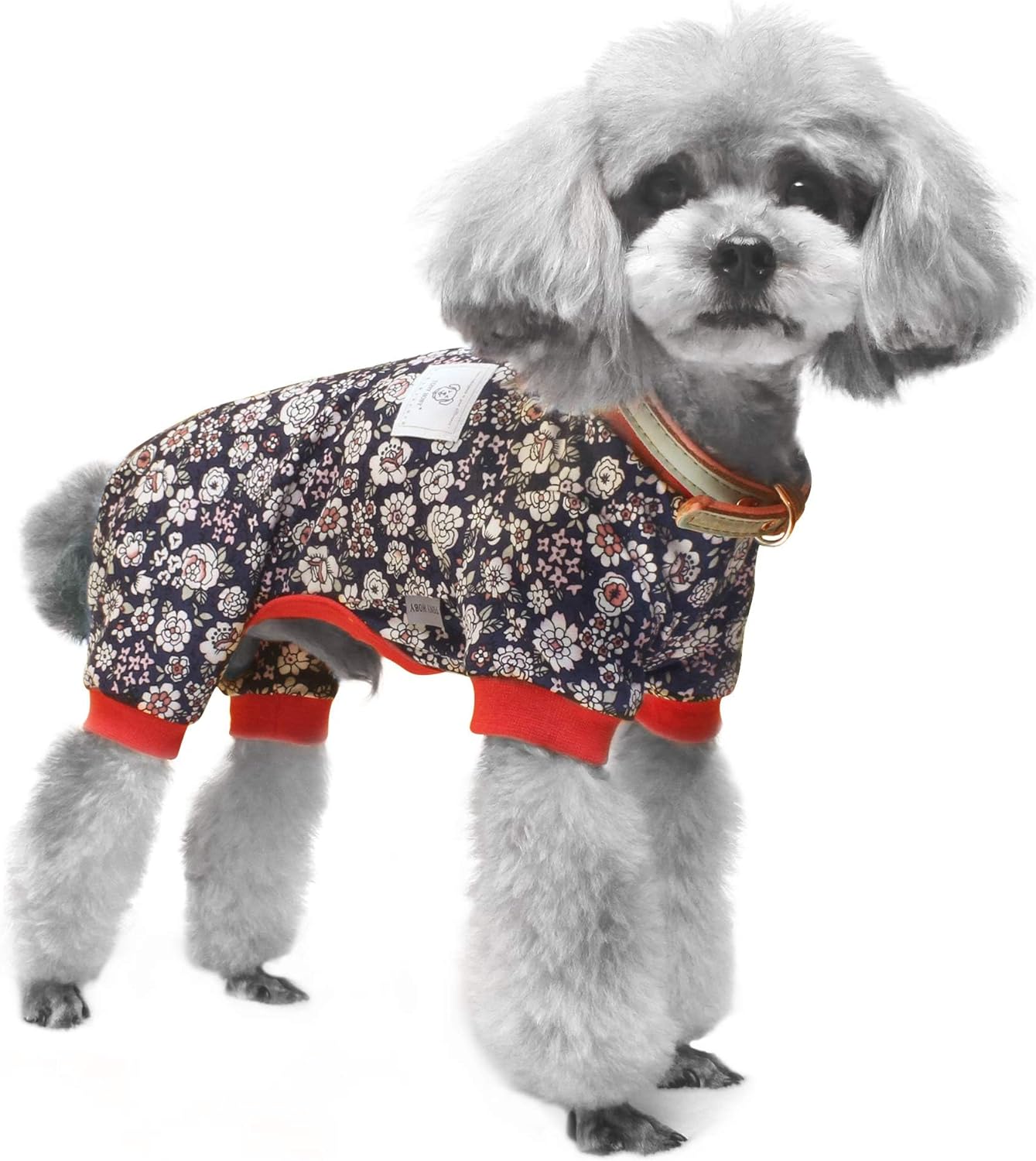 Dog Jumpsuit, 4-Legged Dog Pajamas with Black Flower, Dogs Shirts for All Seasons, Small Medium Dogs (Black, Flower, XL)