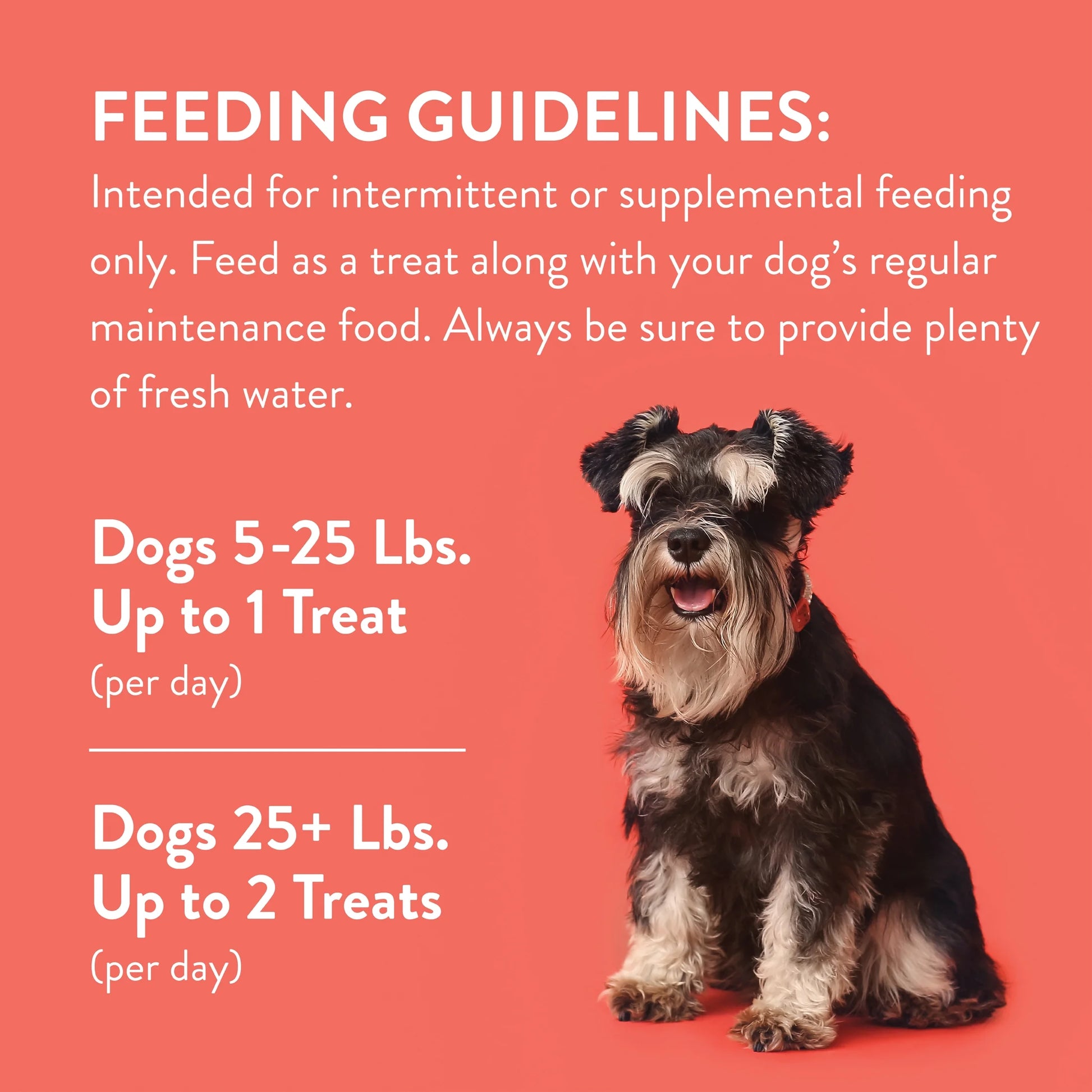(5 Pack)  Slow-Roasted Dry Salmon Jerky Treats for Dogs, 16 Oz