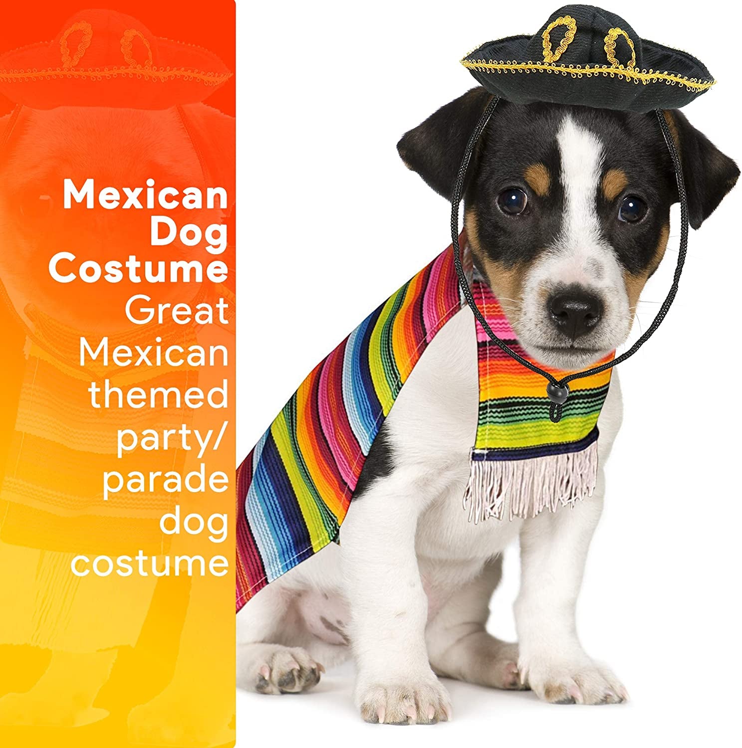 Mexican Serape Dog Costume - Cinco De Mayo Poncho and Sombrero Costumes for Pets (Size L) - Small Breeds Multicolored