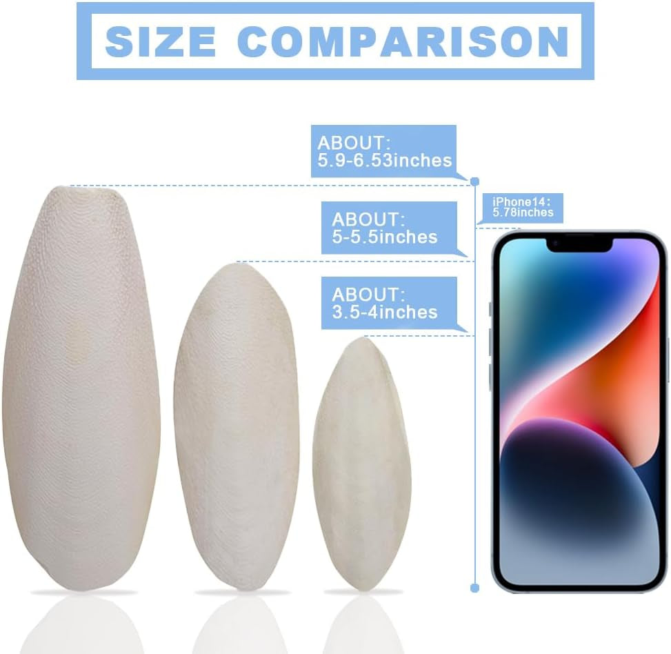 5"-5.5" Bird Cuttlebone for Parakeets, Cuddle Bone with Metal Holder, Cuttlefish Bone for Sharp Beaks, Natural Birds Calcium for Parrots Cockatiels Budgie, 6 Pcs
