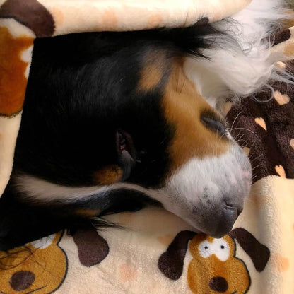 Snuggle Puppy Blanket for Pets - Cozy Dog Blanket for Small Dogs - Machine Washable Dog Blanket in Neutral