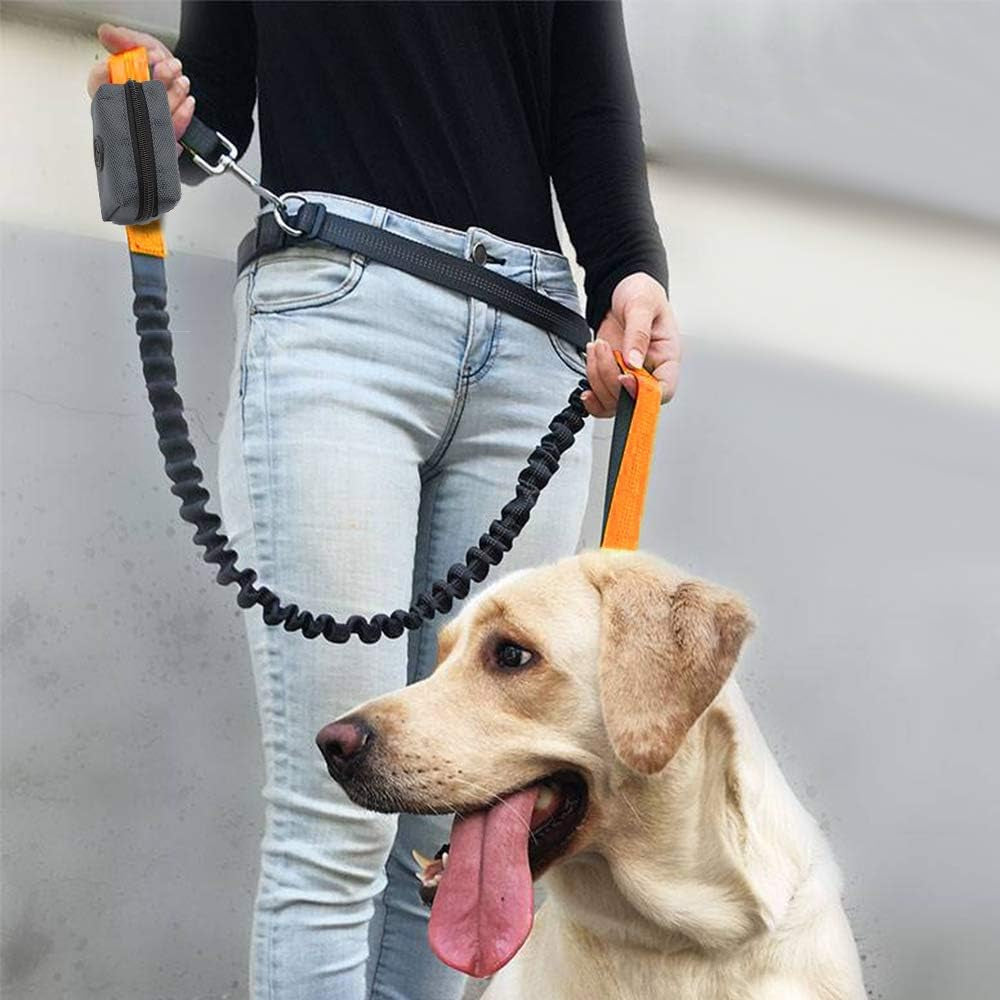 Pet Waste Bag Dispenser Zippered Pouch,Portable Dog Poop Bag Holder Leash Attachment Lightweight Fabric Bags (Dark Grey)