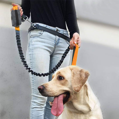 Pet Waste Bag Dispenser Zippered Pouch,Portable Dog Poop Bag Holder Leash Attachment Lightweight Fabric Bags (Dark Grey)