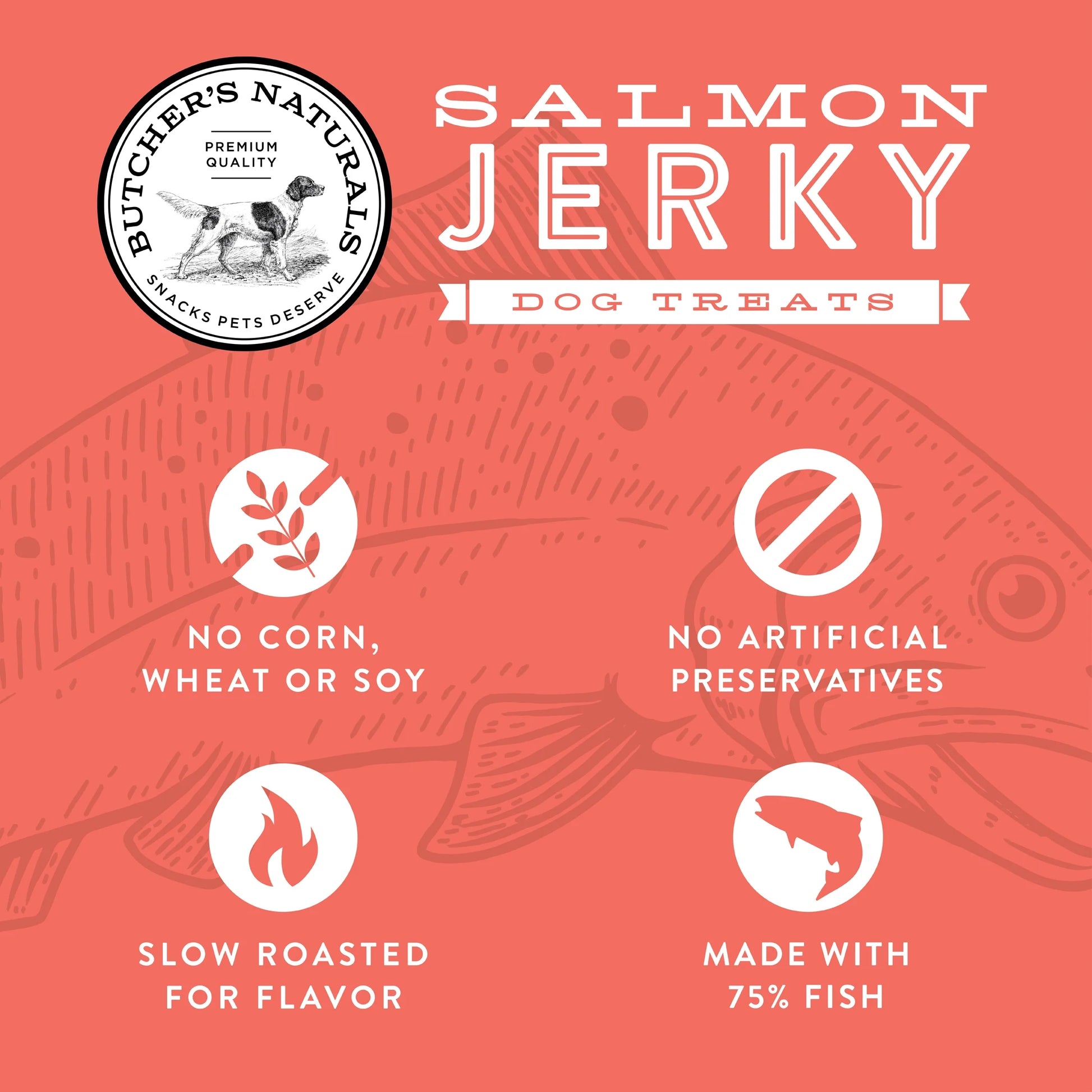 (5 Pack)  Slow-Roasted Dry Salmon Jerky Treats for Dogs, 16 Oz