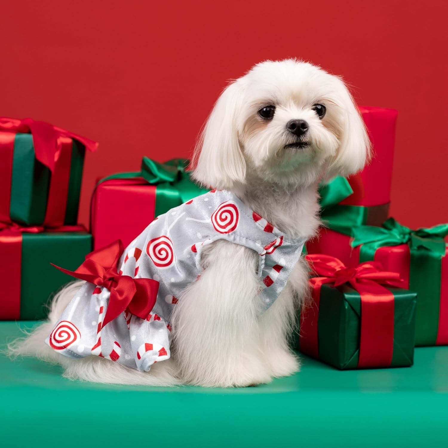 Christmas Candy Canes Dog Dress, Cute Dog Christmas Outfit, Doggy Clothes for Small Dogs Girl, Pet Apparel, Silver, Red, White, Large