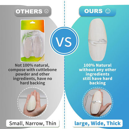 5"-5.5" Bird Cuttlebone for Parakeets, Cuddle Bone with Metal Holder, Cuttlefish Bone for Sharp Beaks, Natural Birds Calcium for Parrots Cockatiels Budgie, 6 Pcs