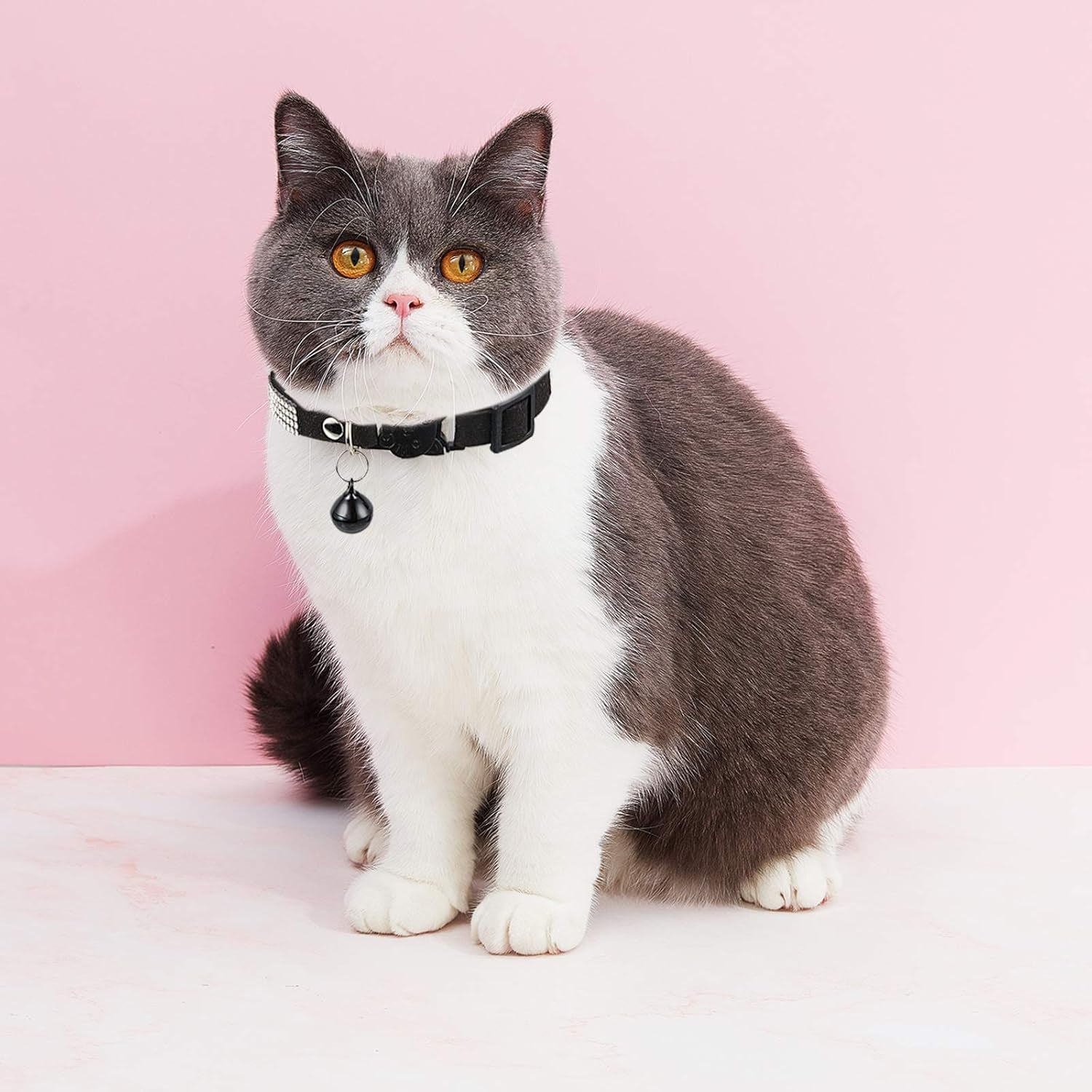 4 Pieces Rhinestones Cat Collars Breakaway Cat Collar with Bell Bling Pet Accessories with Soft Velvet, 4 Colors(S,Pink, Red, Black, Blue)