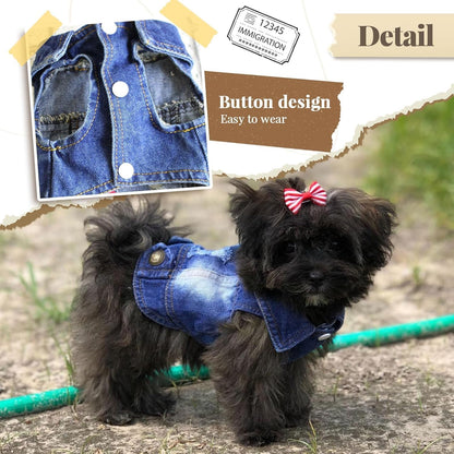 Cool Dog Jean Jacket Small Puppy Outfits Frenchie Clothes Denim Coats for Small Medium Dogs Cats Boys Girls Pet Vest Dog Shirt Clothing Doggy Costume (Blue, M（Suggest 6-9 Lbs）)