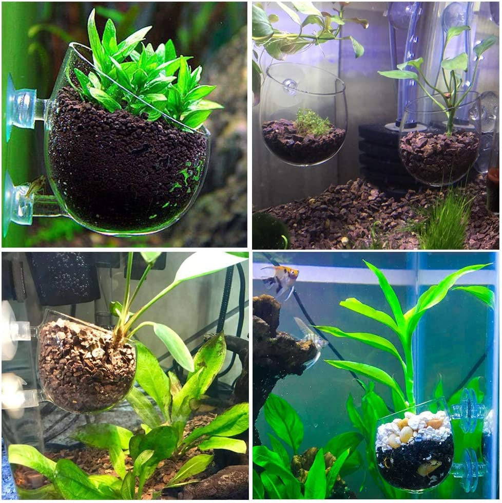 2X Crystal Glass Aquatic Plant Pot, Planter, Red Shrimp Live Plants Fish Tank Holder with 4X Suction Cups for Aquarium Aquascape Decoration…