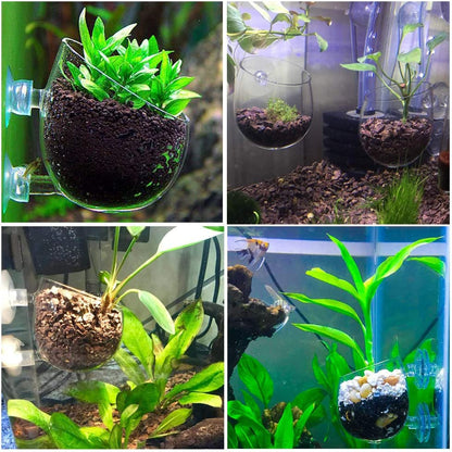 2X Crystal Glass Aquatic Plant Pot, Planter, Red Shrimp Live Plants Fish Tank Holder with 4X Suction Cups for Aquarium Aquascape Decoration…