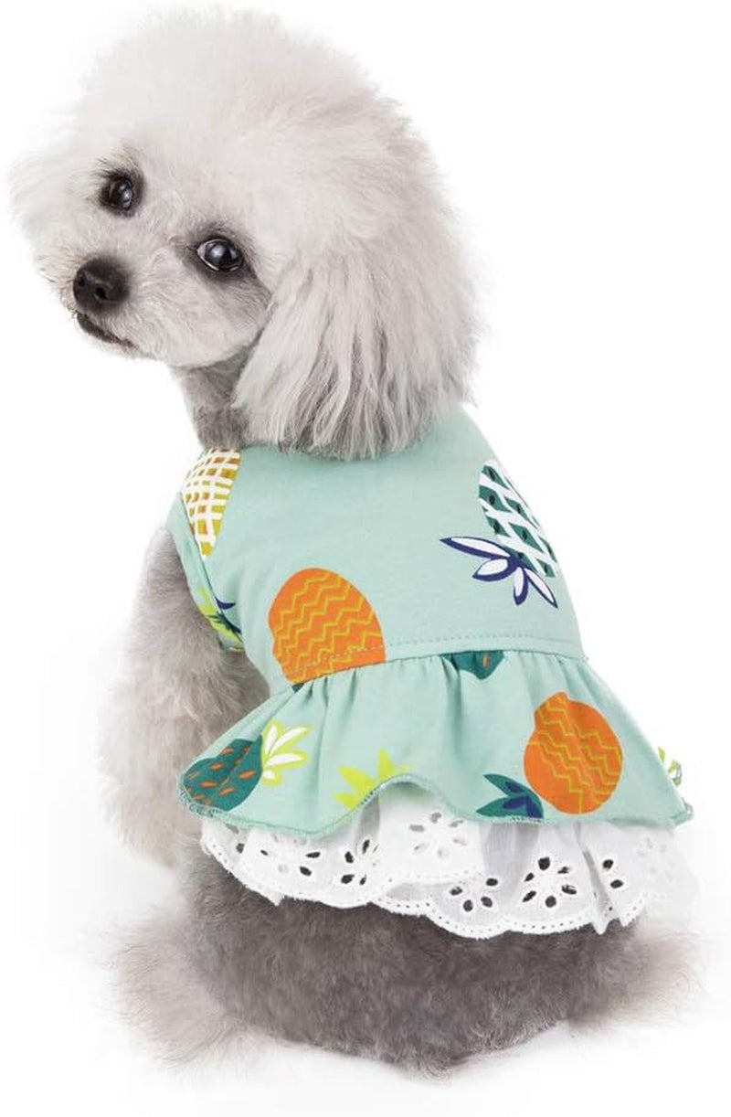 Cute Cartoon Princess Dog Dress Puppy Tutu Skirt Vest Apparel for Daily Life Birthday (Medium, Fruit Green)