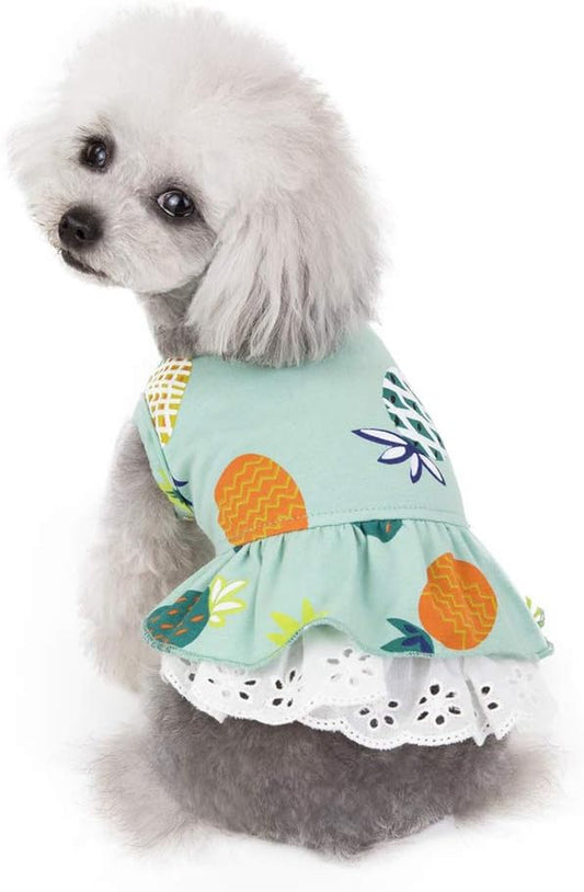 Cute Cartoon Princess Dog Dress Puppy Tutu Skirt Vest Apparel for Daily Life Birthday (Medium, Fruit Green)