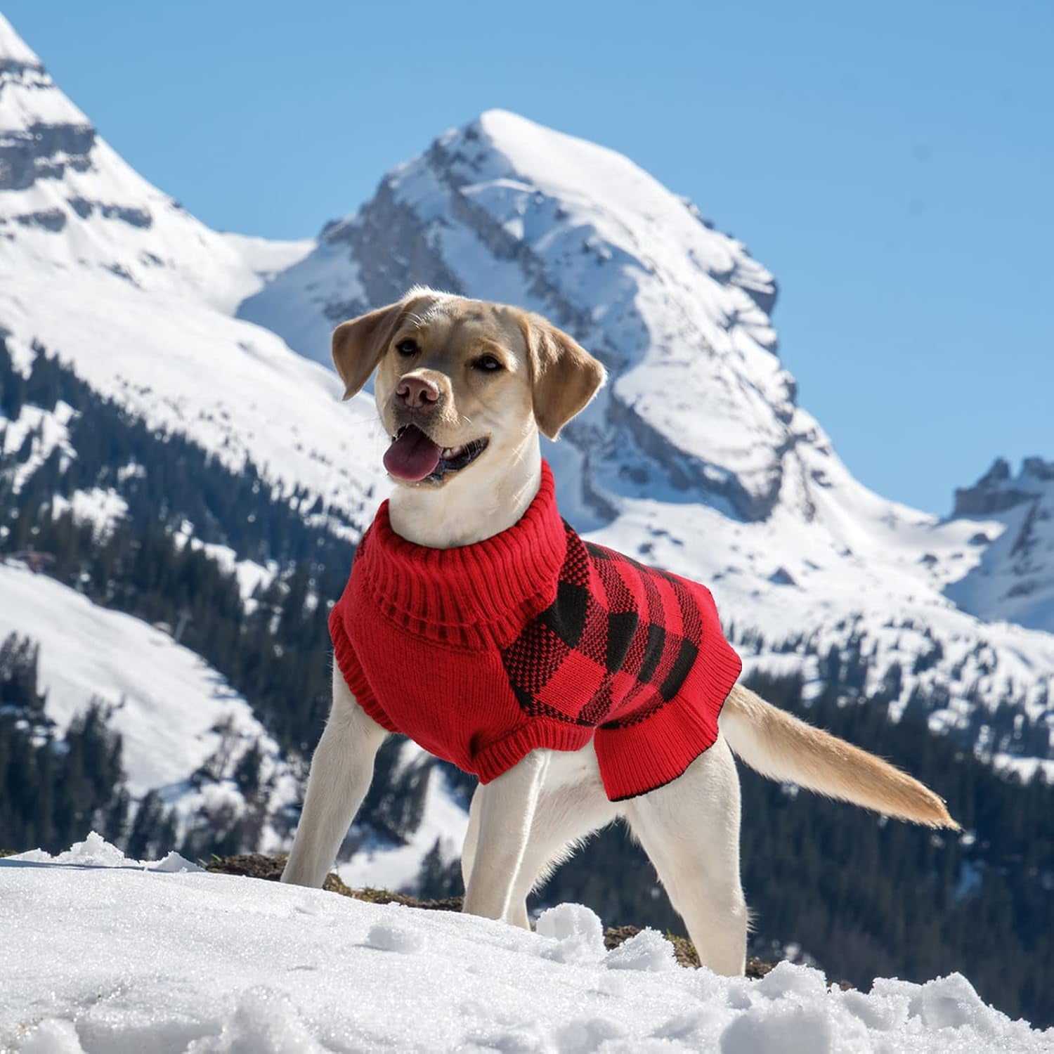 Dog Sweaters for Medium Dogs, Dog Christmas Sweaters Puppy Sweaters Pullover Dog Sweater Dress Warm Winter Turtleneck Pet Sweaters with Leash Hole Soft Fall Dog Sweaters for Dogs Girls Boys XL