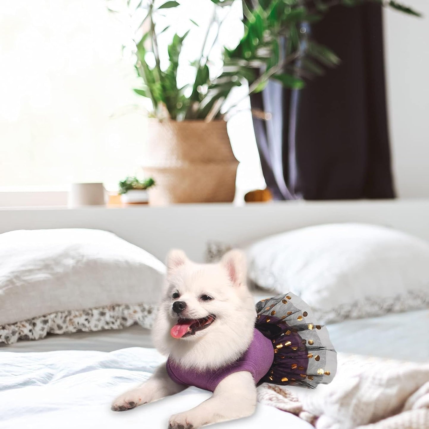 Dog Dress, Outfits Dog Party Dress, Dogs Princess Dresses with Lace, Pet Skirt Soft and Breathable for Small Medium Dogs (Purple, XL)
