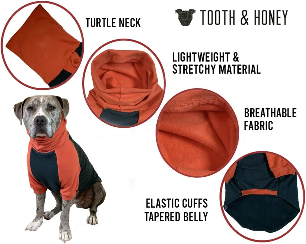 Pitbull Dog Sweater - Dark Green & Orange (Xx-Large)