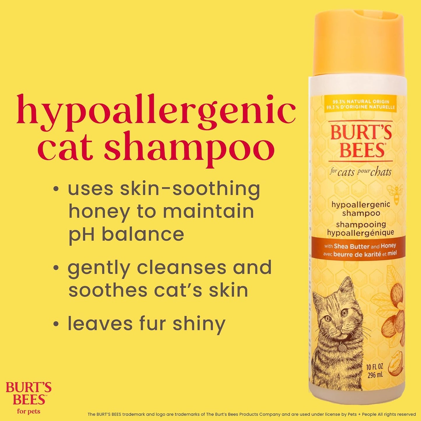 Hypoallergenic Cat Shampoo with Shea Butter and Honey - a Gentle Kitten Shampoo for Indoor Cats with Dry & Itchy Skin, Sensitive Skin, Cat Bathing Supplies, 10 Fl Oz - 2 Pack