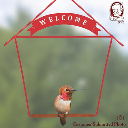 Welcome Home Hummingbird Swing for Outdoors - Perfect Bird Perch for Small Birds - Sturdy Steel Metal Swing Set with Hook Included