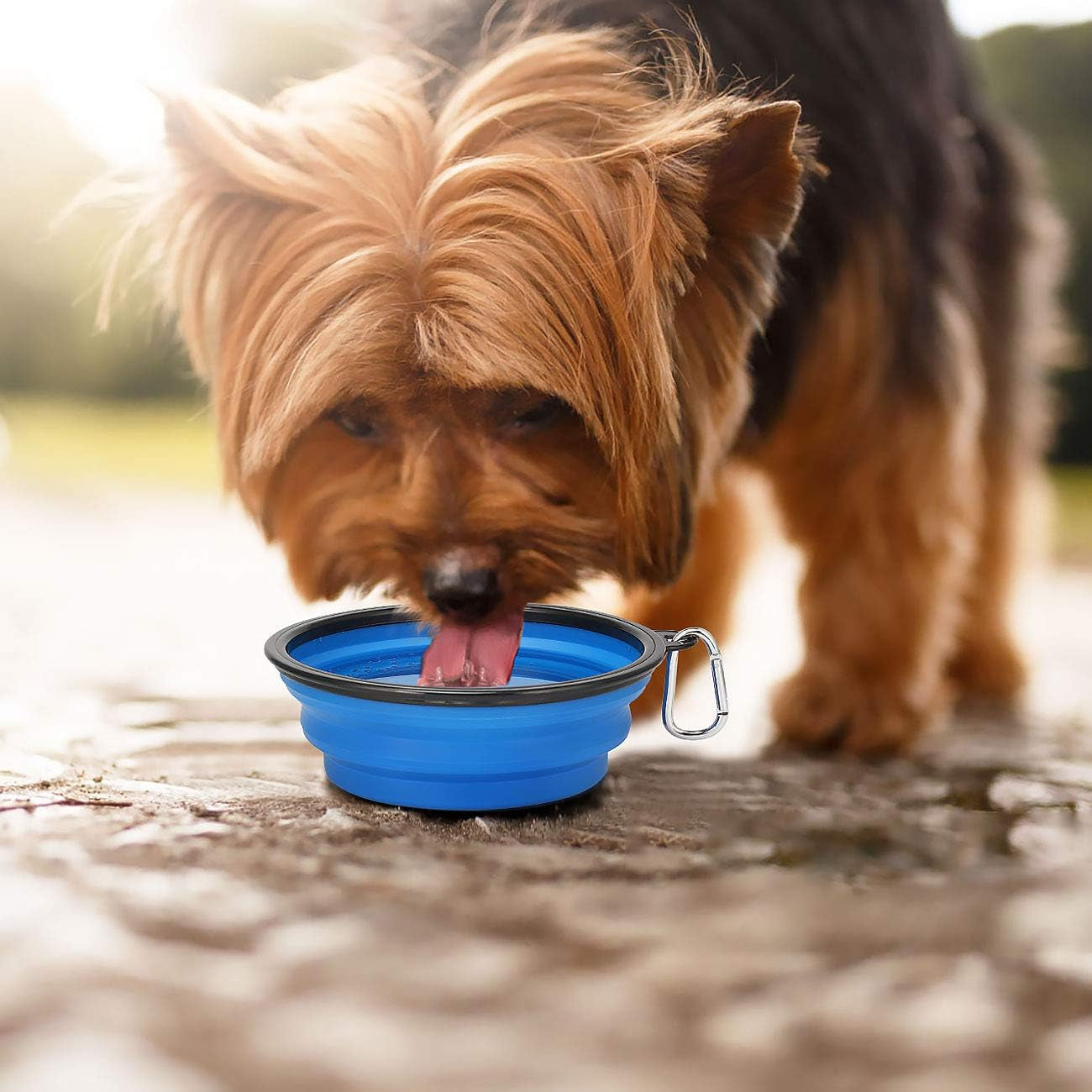 Large Collapsible Dog Bowls 2 Pack, 34Oz Foldable Dog Travel Bowl, Portable Pet Water Food Bowl with Clasp, Pet Cat Feeding Cup Dish for Traveling, Walking, Hiking (Black+Blue)
