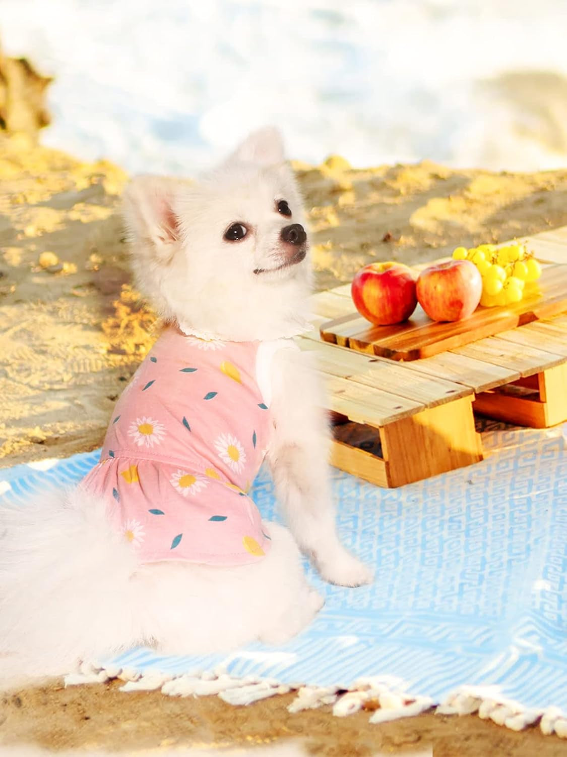Dog Dress, Dog Birthday Dress, Dogs Summer Skirt, Dogs Flower Skirt with Lace Collar, Cute Puppy Clothes for Small Medium Doggie Cat Girl (Pink, XS)