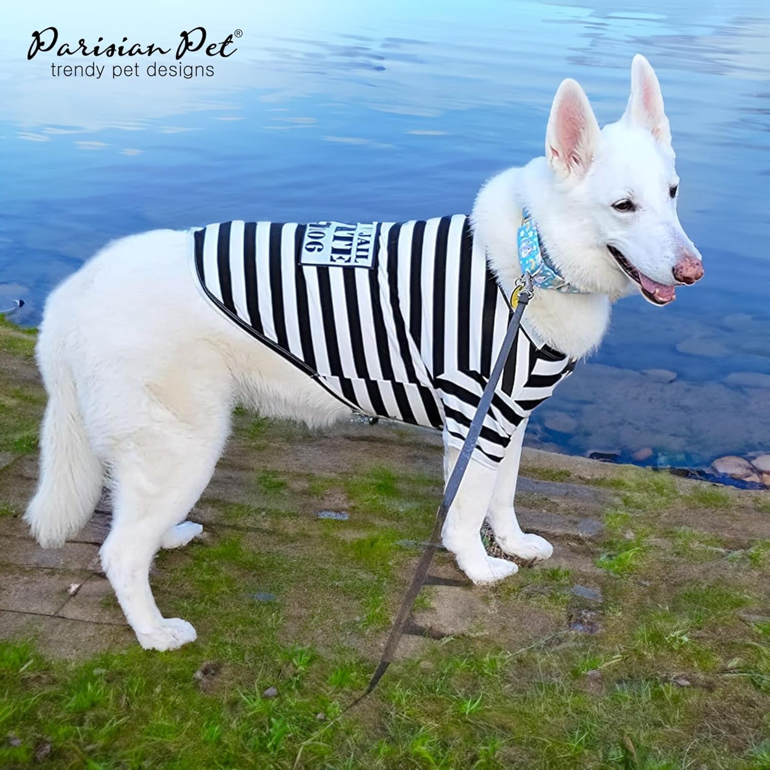 - Medium Dog Shirt - Black & White Striped - Cotton & Polyester - Sleeved & Lightweight - Prisoner Dog Theme