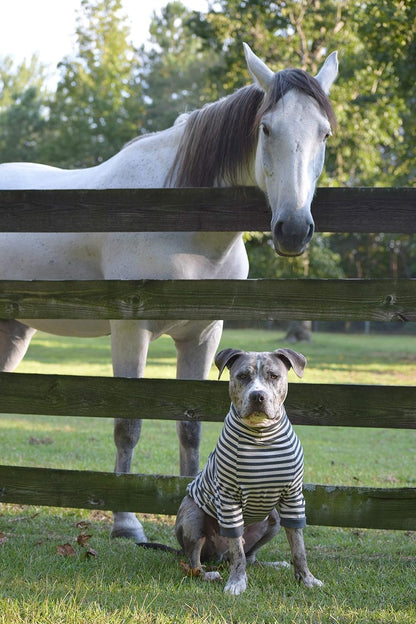 Large Dog Pullover – Breathable Cotton & Spandex with Full Underbelly Coverage – White & Gray Striped Shirt for Allergy & Summer Protection (XXL)