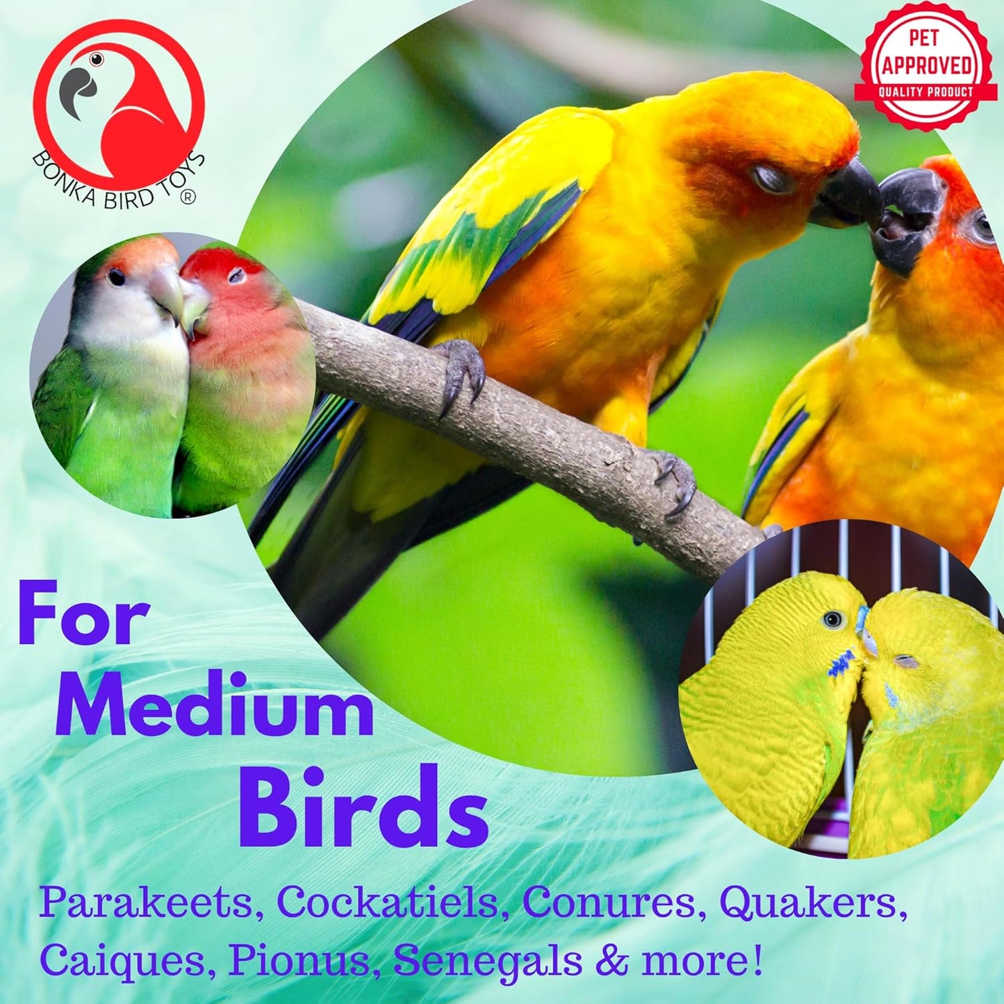 1040 Foraging Star Shred Medium Parrot Cage Toy, Conures, Ringnecks, Quaker, and Similar Breed Sizes