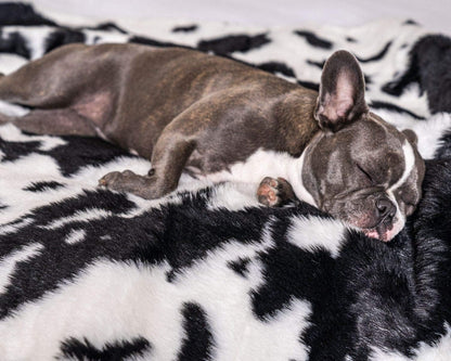 Pupprotector Waterproof Throw Blanket for Dogs and Cats, Pet Blanket Cover for Couches, Sofas, Beds, Car Seats, Furniture, Calming Soft Faux Fur, Black and White Cowhide, Original (60" L X 50" W)