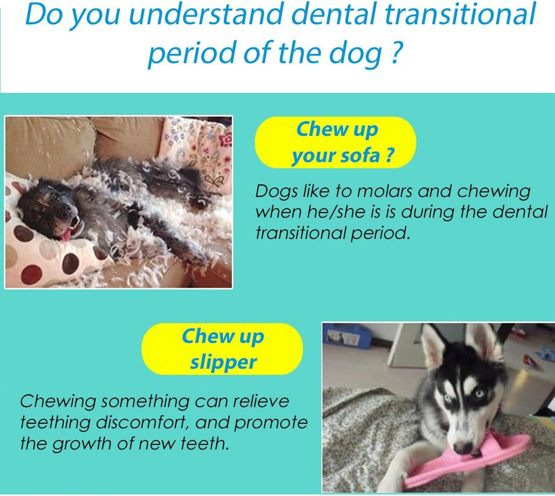 2Pcs Light up Dog Balls,Led Dog Ball,Glow in the Dark Dog Ball,Flashing Elastic Pet Toys for Puppy, Cats, Dogs