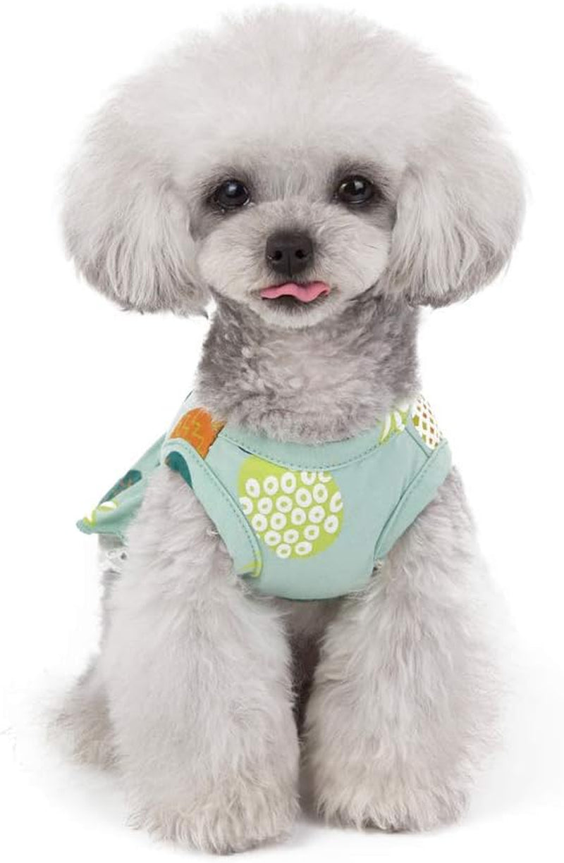 Cute Cartoon Princess Dog Dress Puppy Tutu Skirt Vest Apparel for Daily Life Birthday (Medium, Fruit Green)