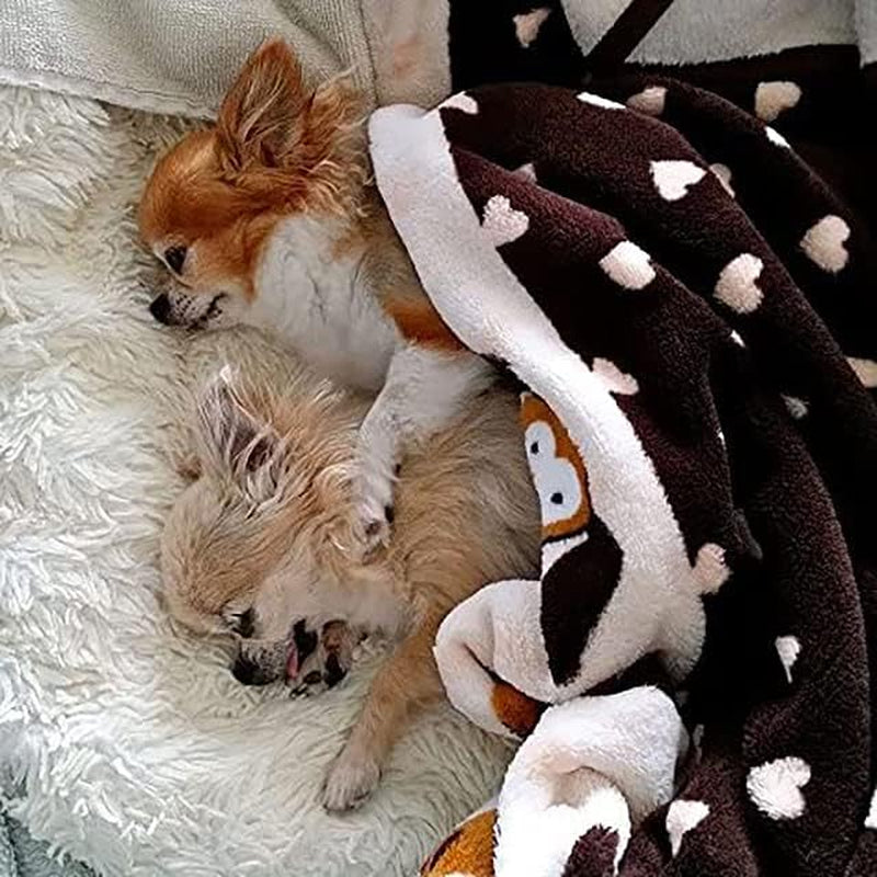 Snuggle Puppy Blanket for Pets - Cozy Dog Blanket for Small Dogs - Machine Washable Dog Blanket in Neutral