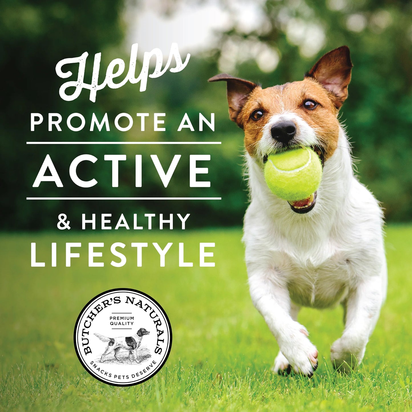 (5 Pack)  Slow-Roasted Dry Salmon Jerky Treats for Dogs, 16 Oz