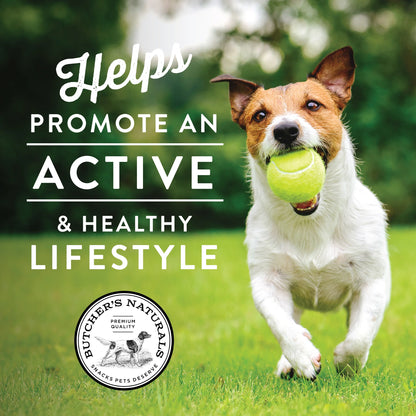 (5 Pack)  Slow-Roasted Dry Salmon Jerky Treats for Dogs, 16 Oz