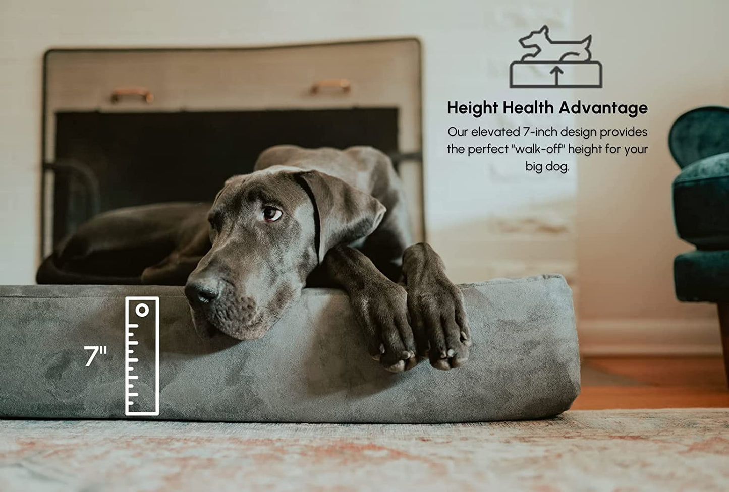 Barker Beds Orthopedic Dog Bed - 7" Pillow Top XL Size (52 X 36 X 11) - Luxury Washable Large Dog Bed with Headrest - Memory Foam Mattress for Big Dogs (Charcoal)