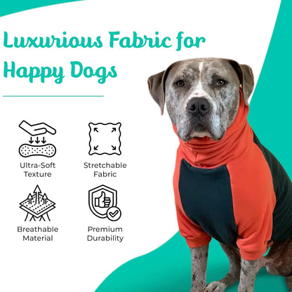 Pitbull Dog Sweater - Dark Green & Orange (Xx-Large)